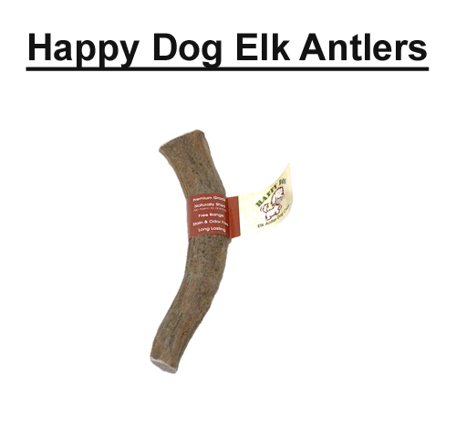 Happy Dog Elk Antlers