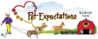 Pet Expectations Pet Tags - Paw Patterns